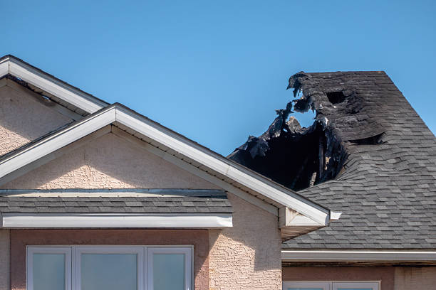 Licensed Fire Damage Removal service in Annandale, MN - Fire Damage Biloxi